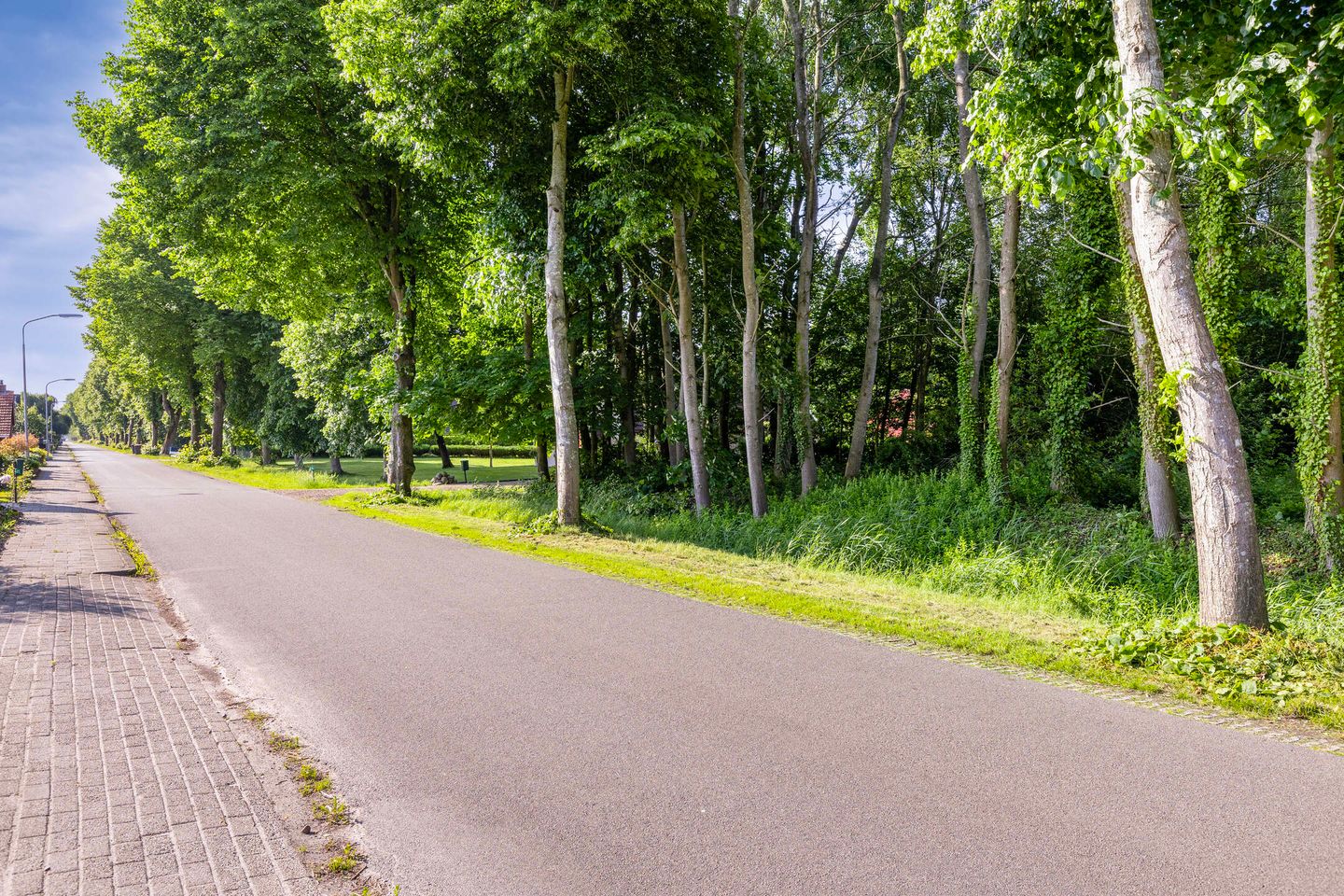 Foto 35 van Nieuwediep 19