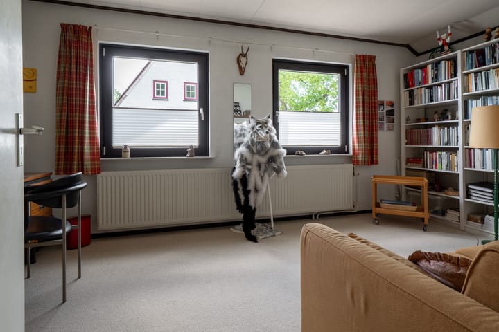 Photo 31 of Boekelosestraat 377