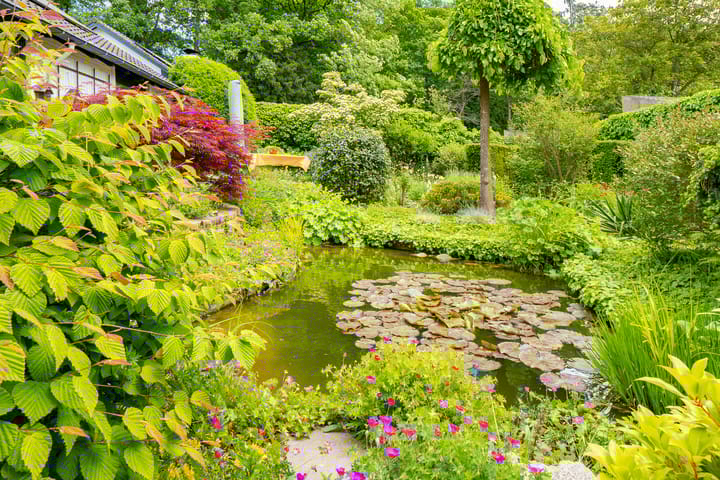 Photo 40 of Boekelosestraat 377