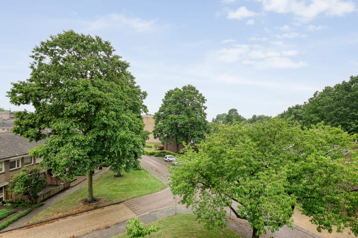 Foto 25 van van Ewijcksingel 122