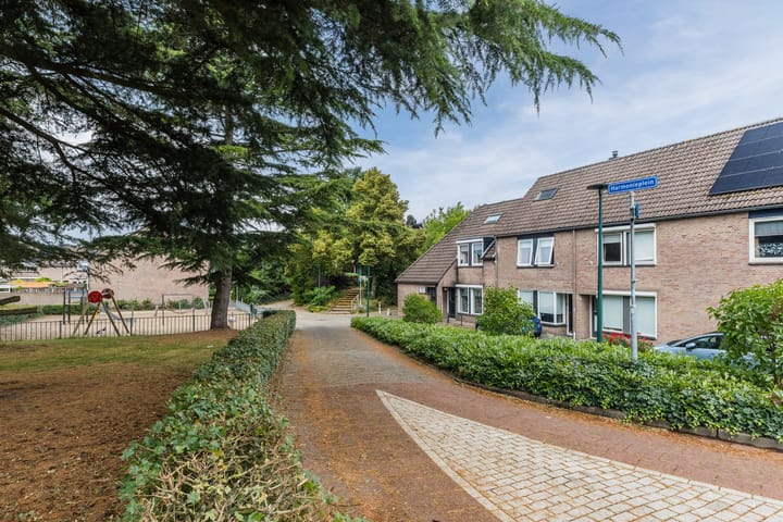 Foto 31 van Harmonieplein 1