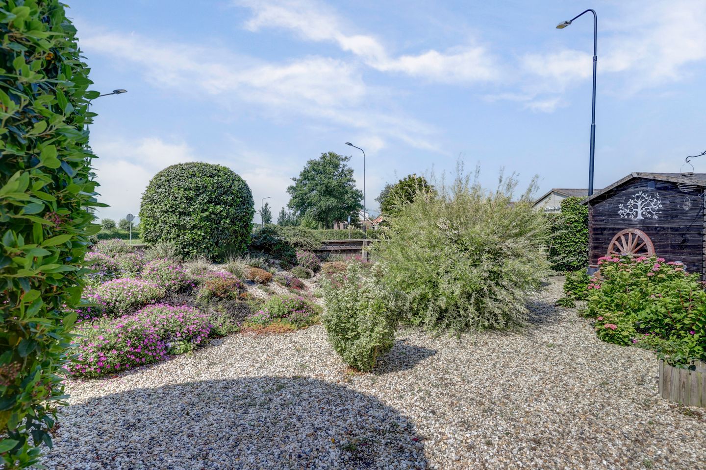 Foto 49 van Monsterweg 55