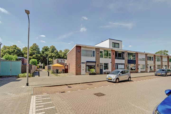 undefined main image
