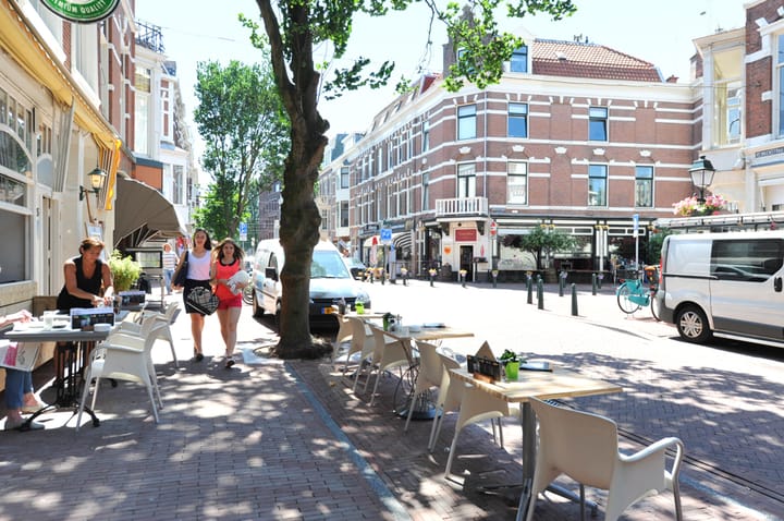 Foto 44 van Obrechtstraat 186