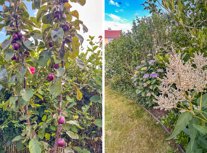 Foto 82 van Houtrustweg 4-A