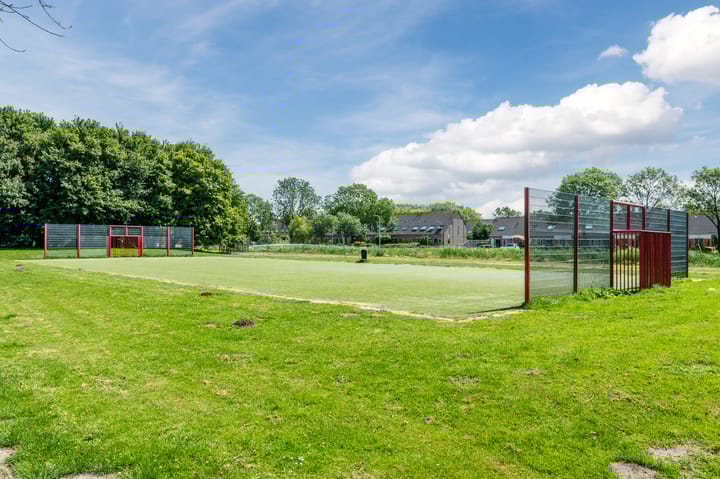 Photo 31 of Landleeuw 13