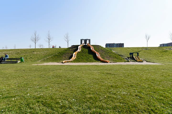 Foto 45 van Ad van der Steurzoom 20