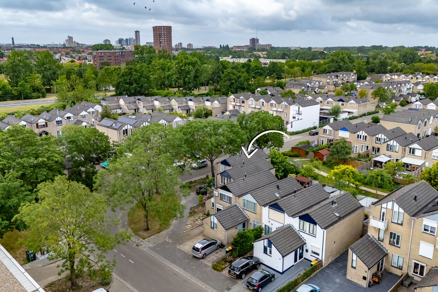 Photo 4 of Bossenburg 46