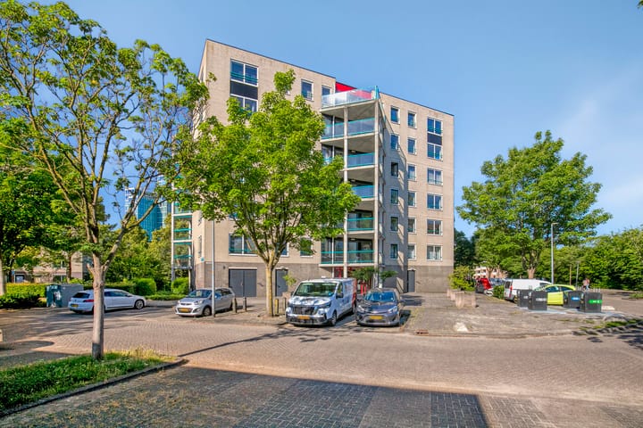 undefined main image