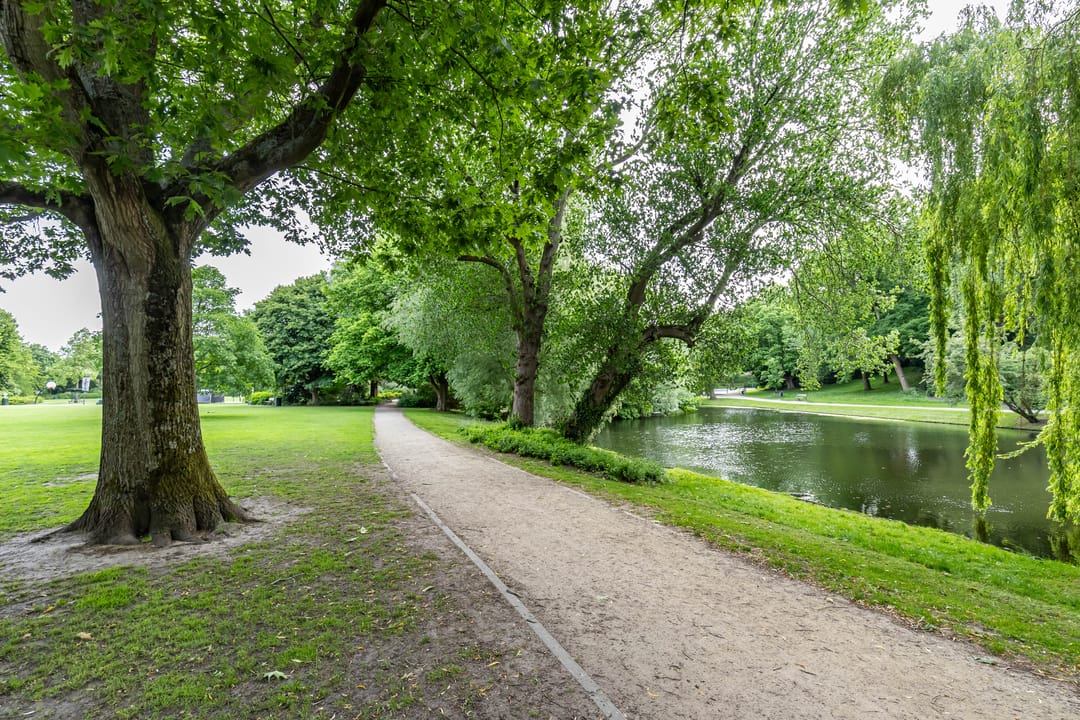 Photo 7 of Nassaulaan 15