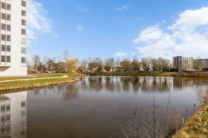 Foto 40 van Prins Clausplein 50