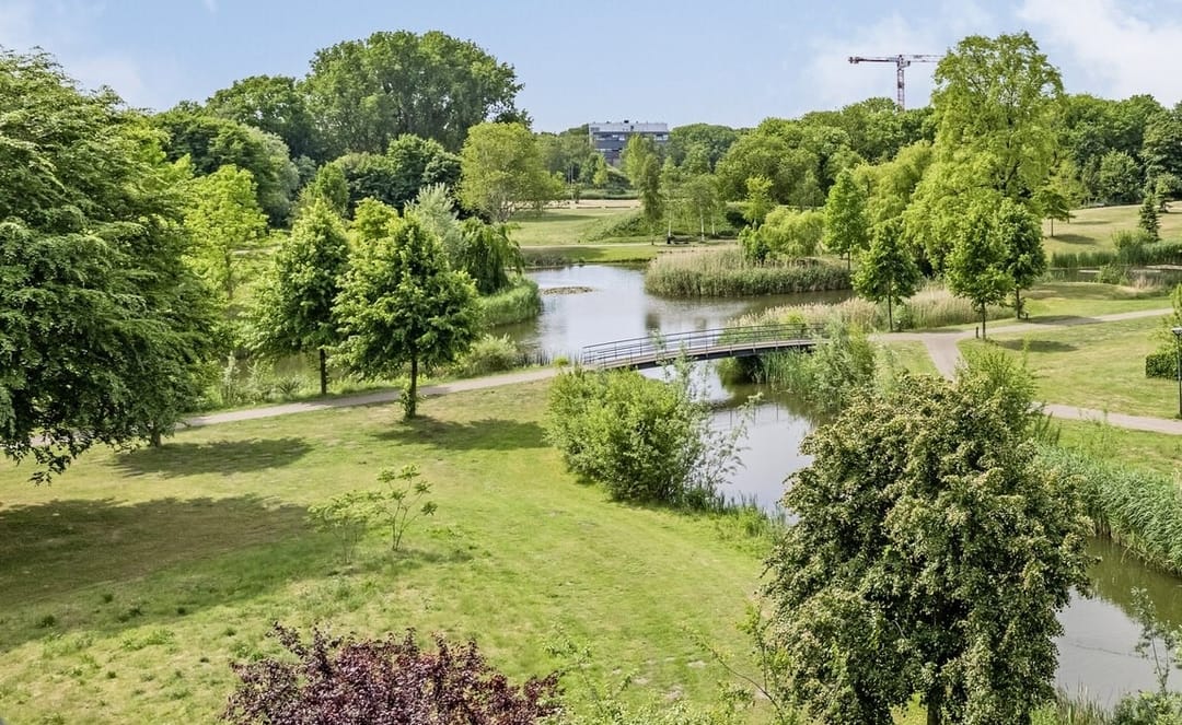 Foto 23 van Heer Arnoudstraat 35