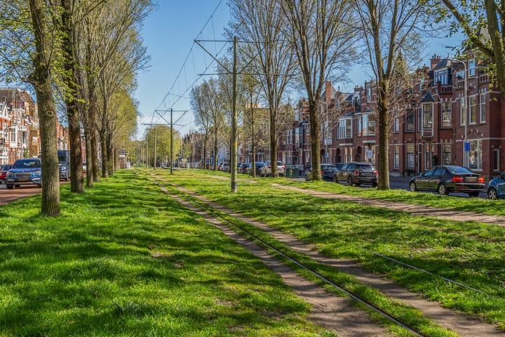 Foto 56 van Statenlaan 81-0