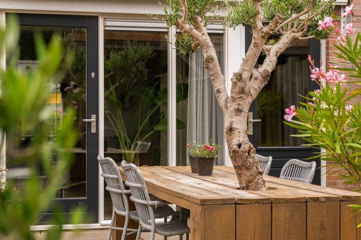 Foto 23 van Palmedreef 25