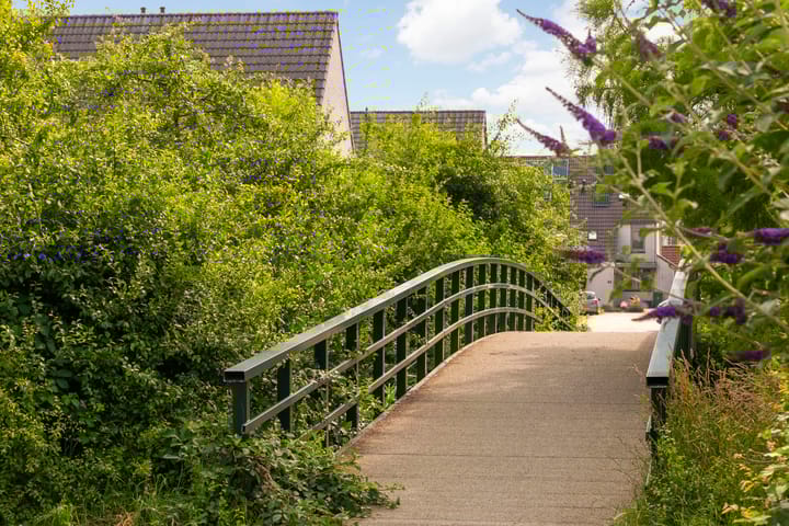 Foto 25 van Palmedreef 25