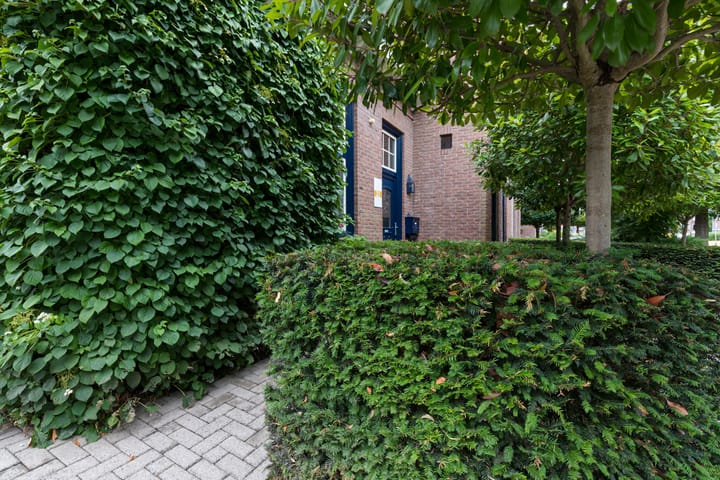 Foto 11 van Treebeekstraat 22