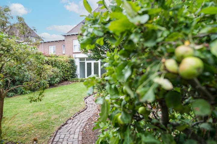 Foto 56 van Treebeekstraat 22