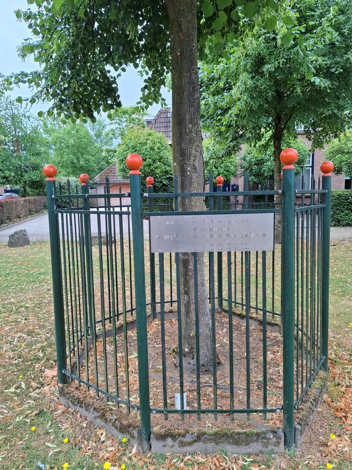 Foto 63 van Treebeekstraat 22