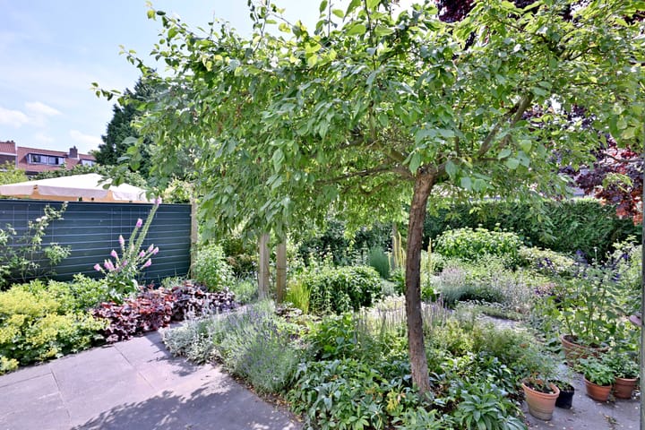 Foto 20 van Johannes Sinthenstraat 11