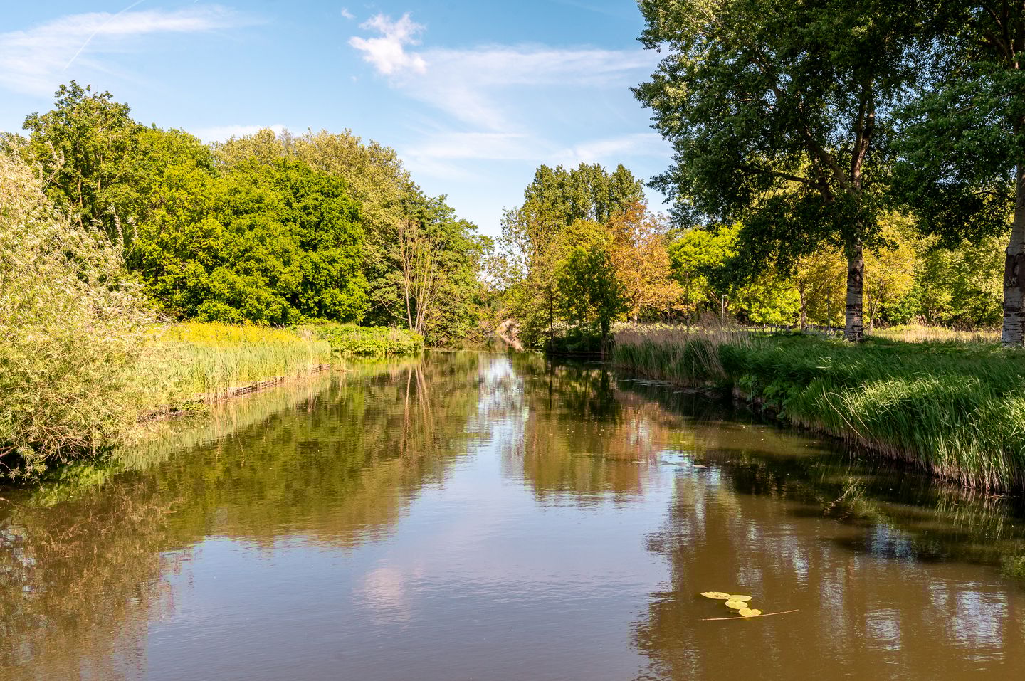 Foto 74 van Beemdlaar 52