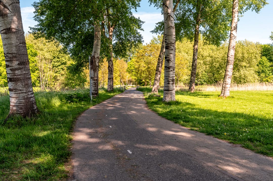 Foto 76 van Beemdlaar 52