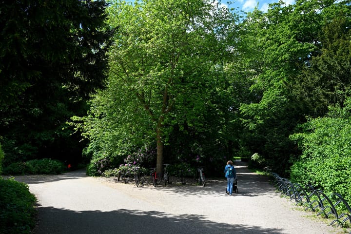 Foto 27 van Hermannus Elconiusstraat 2-A2