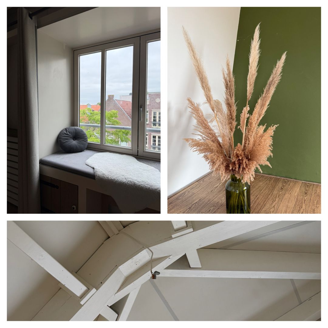 Photo 17 of Plein 16-B