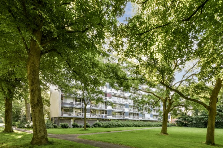 Foto 21 van Duivelandselaan 123