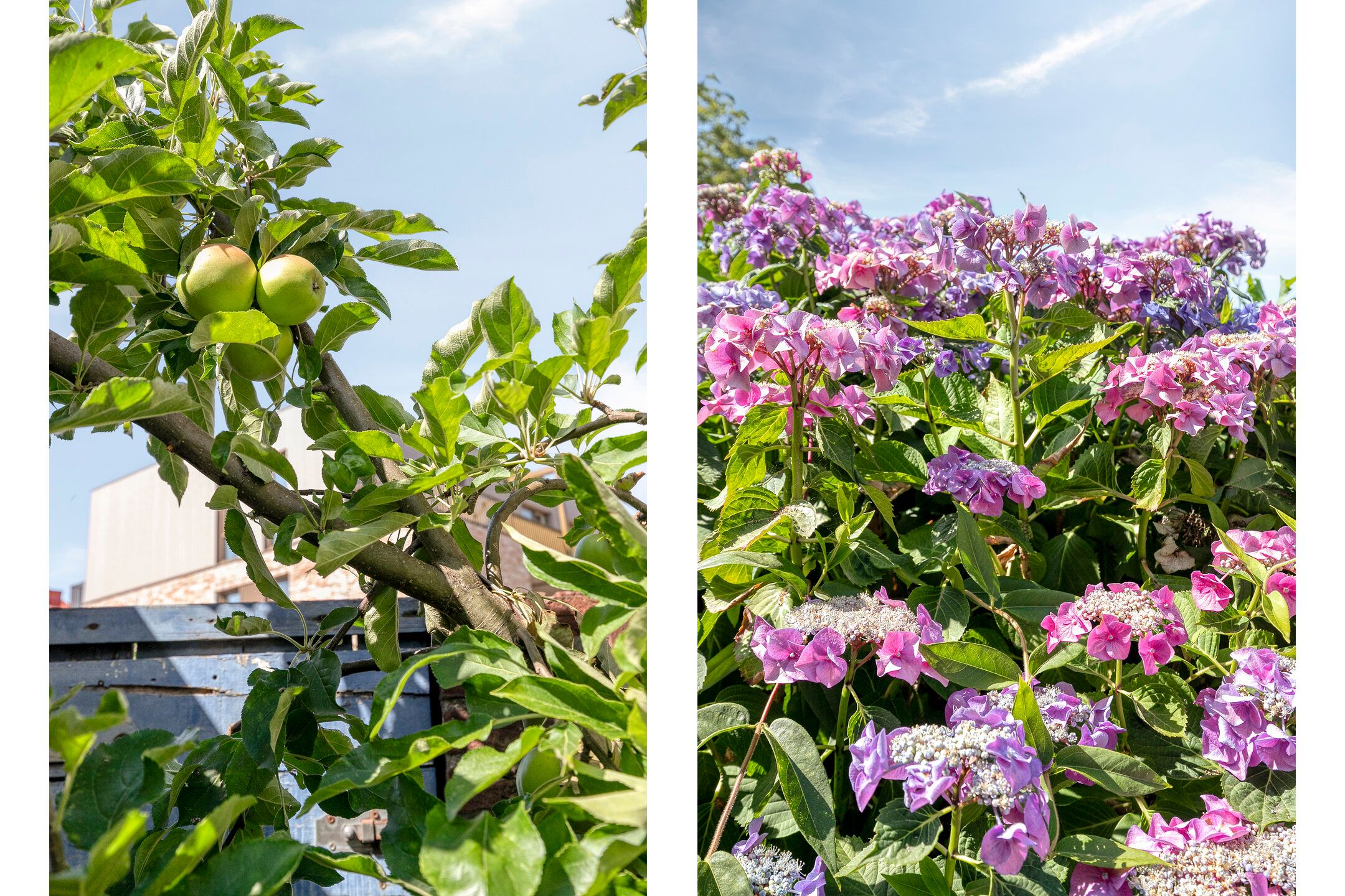 Foto 30 van Rubensstraat 42