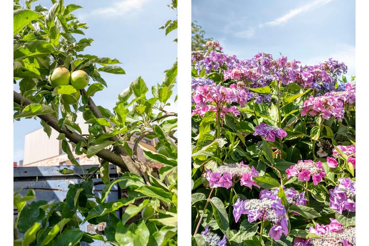 Photo 30 of Rubensstraat 42