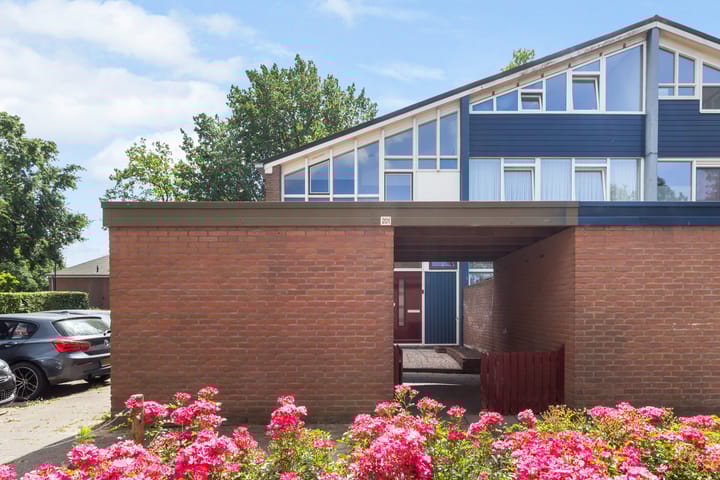 Foto 1 van Schrijnwerkershorst 201