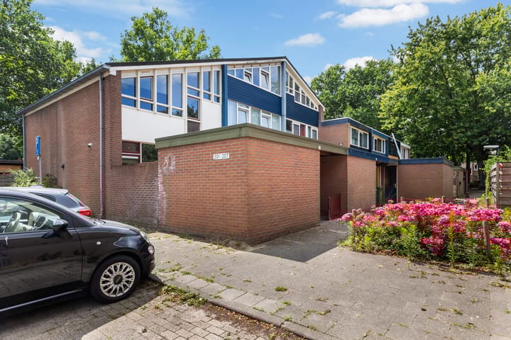 Foto 28 van Schrijnwerkershorst 201