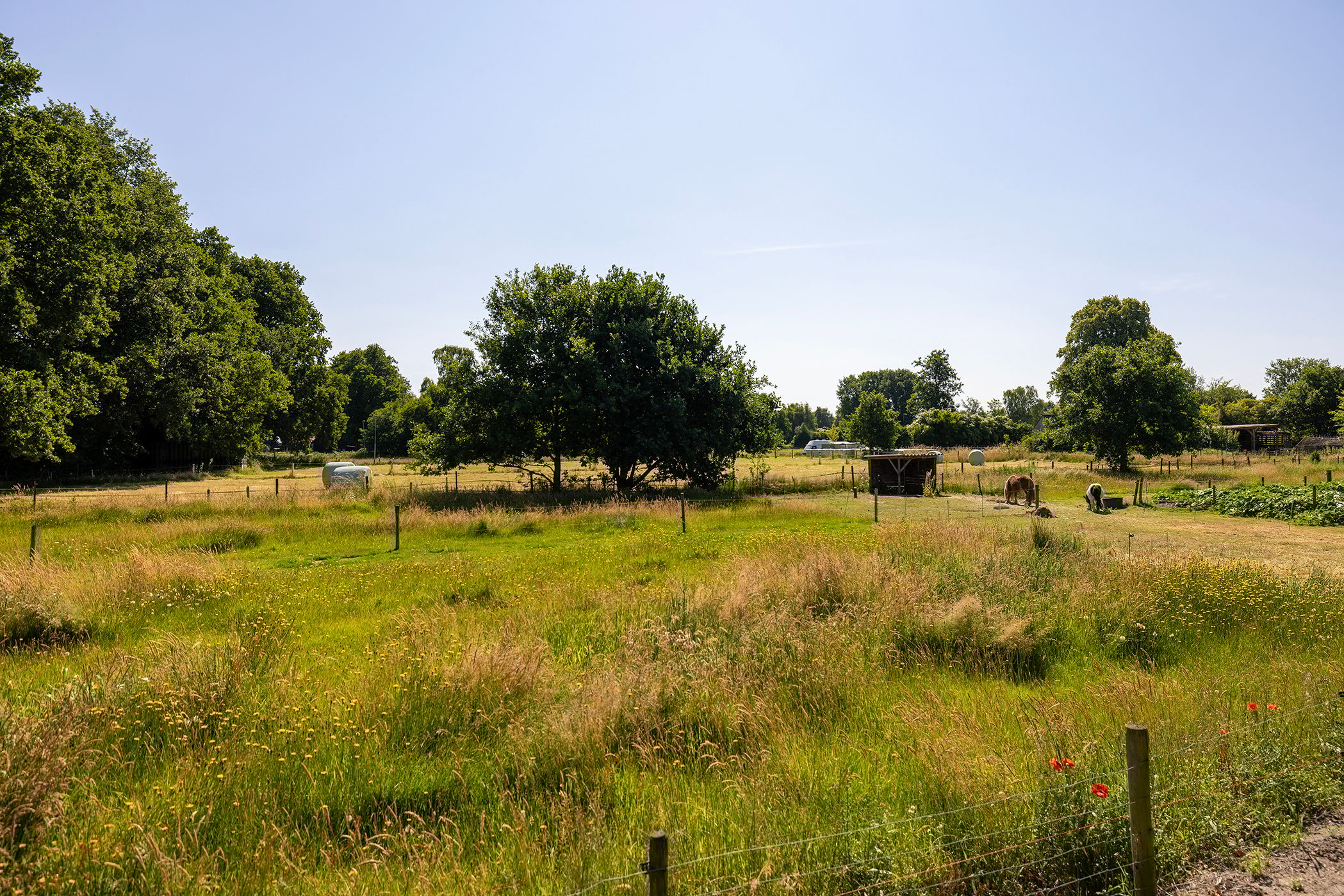 Foto 3 van Ruimelsweg 10