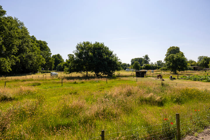 Photo 3 of Ruimelsweg 10