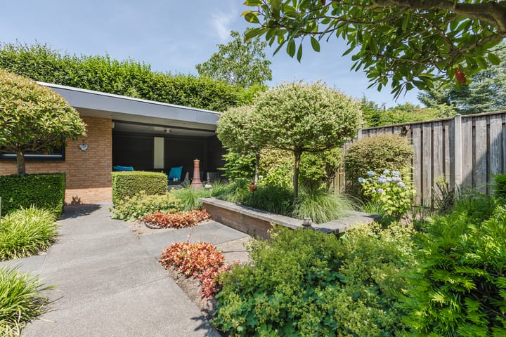 Foto 53 van Damast 7