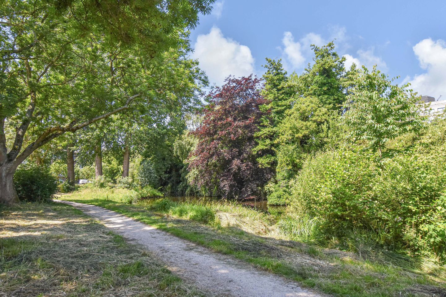 Photo 5 of Nicolaas Beetslaan 46