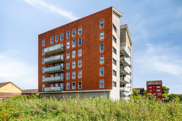 Foto 21 van Alexandriëstraat 64