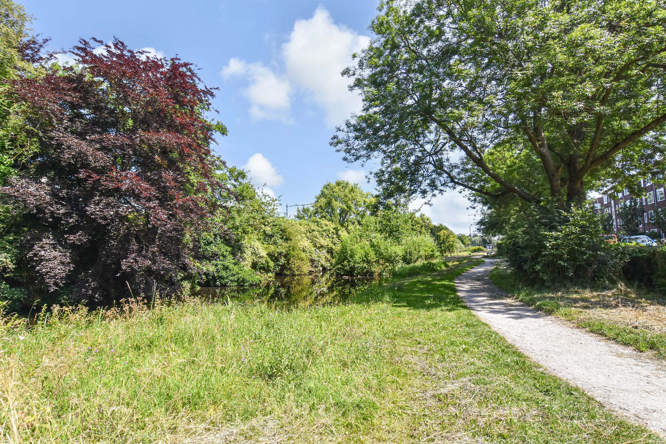 Photo 45 of Nicolaas Beetslaan 46