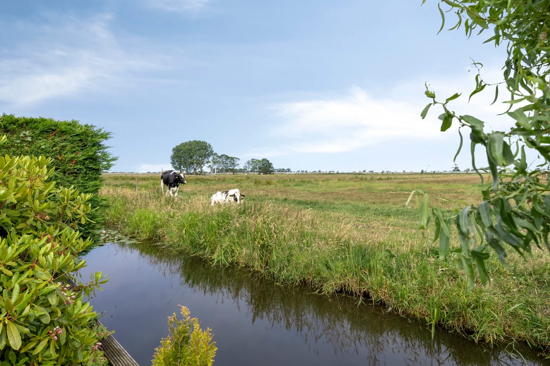 Foto 11 van Graaf Willem II laan 21