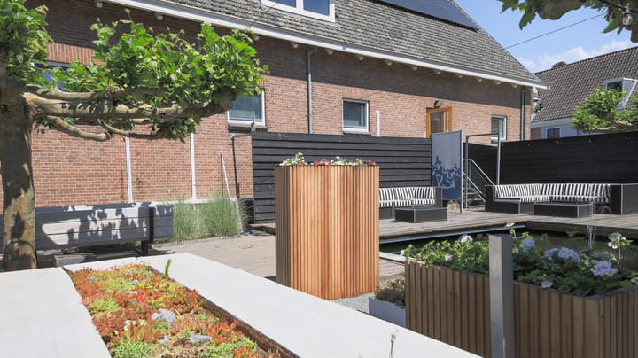 Photo 30 of De Oude Molen 5