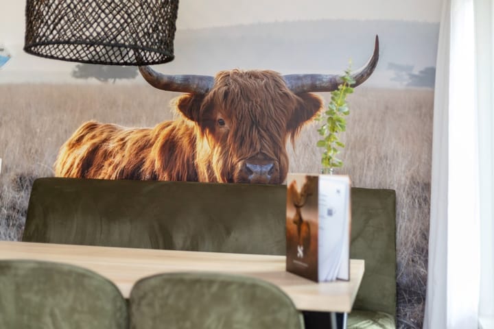 Foto 12 van Hermanusweg 4-011