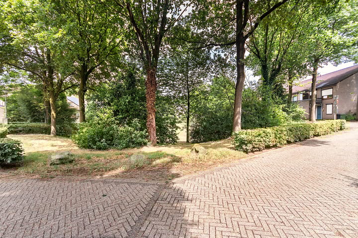 Foto 32 van De Toverdans 66