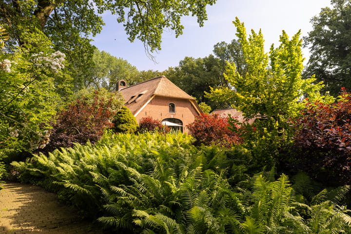 Foto 53 van Zeggelaarsweg 5