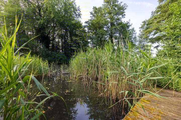 Foto 55 van Zeggelaarsweg 5