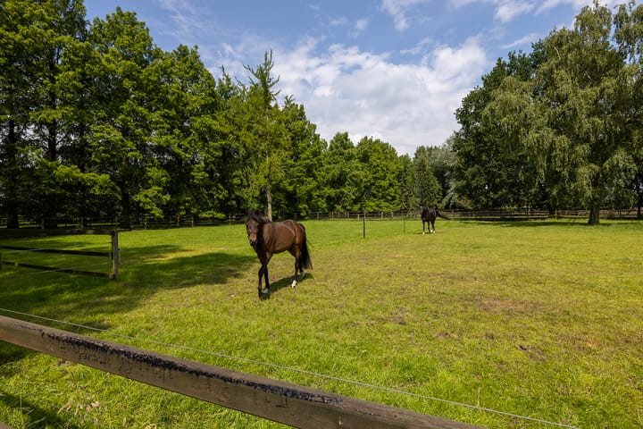 Foto 60 van Zeggelaarsweg 5