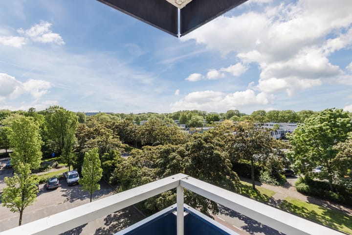 Foto 18 van Boterbloem 43