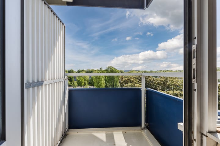 Foto 19 van Boterbloem 43