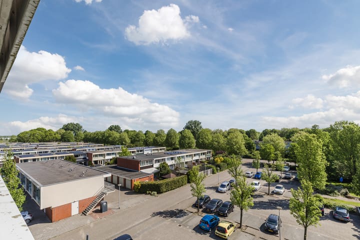 Foto 20 van Boterbloem 43