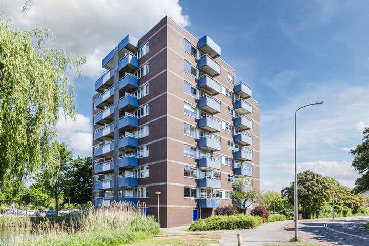 Foto 23 van Boterbloem 43