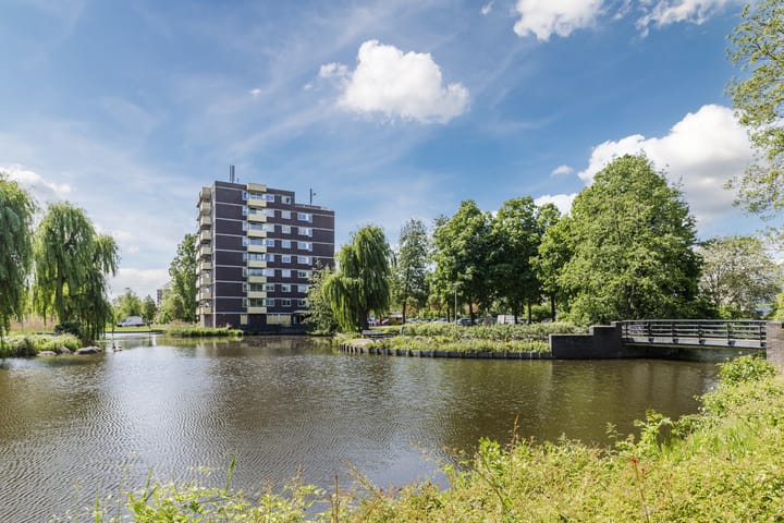 Foto 25 van Boterbloem 43